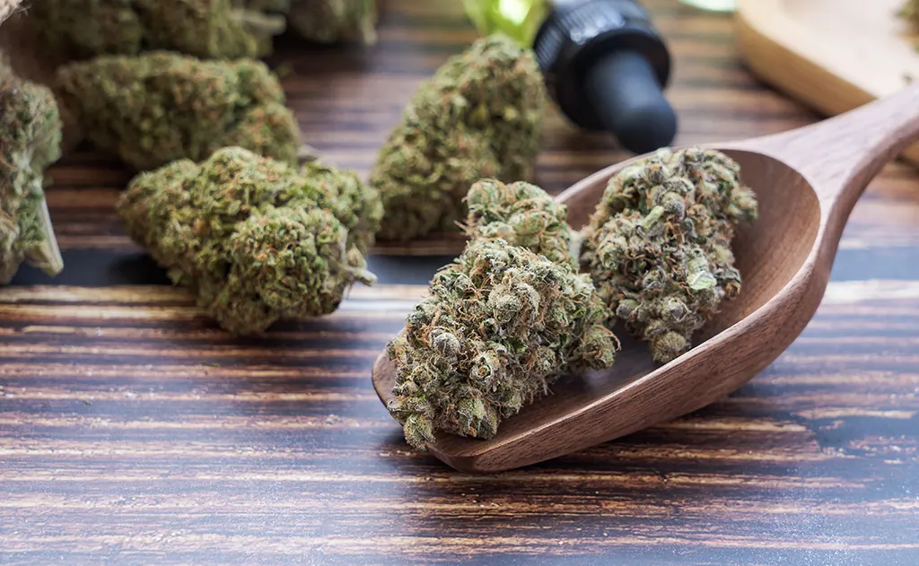 Buying Cannabis Flower Online: What You Need to Know Before You Shop