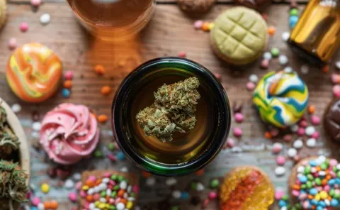 Top Cannabis Strains for Creativity and Focus