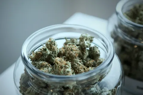 How to Store Your Cannabis Properly for Freshness and Potency