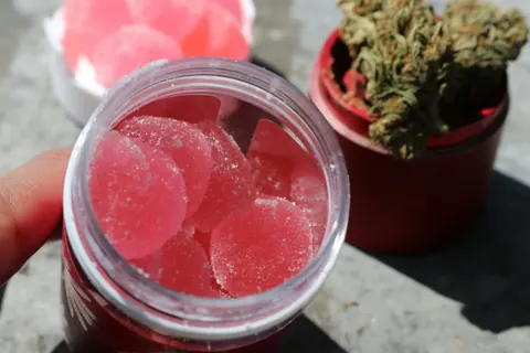 A Beginner’s Guide to Cannabis Edibles: What to Know Before You Try