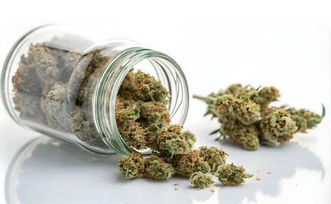 What are the Best Strains for Beginners?
