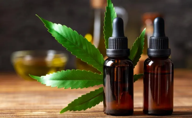 Understanding Terpenes: The Secret to Cannabis’ Unique Effects